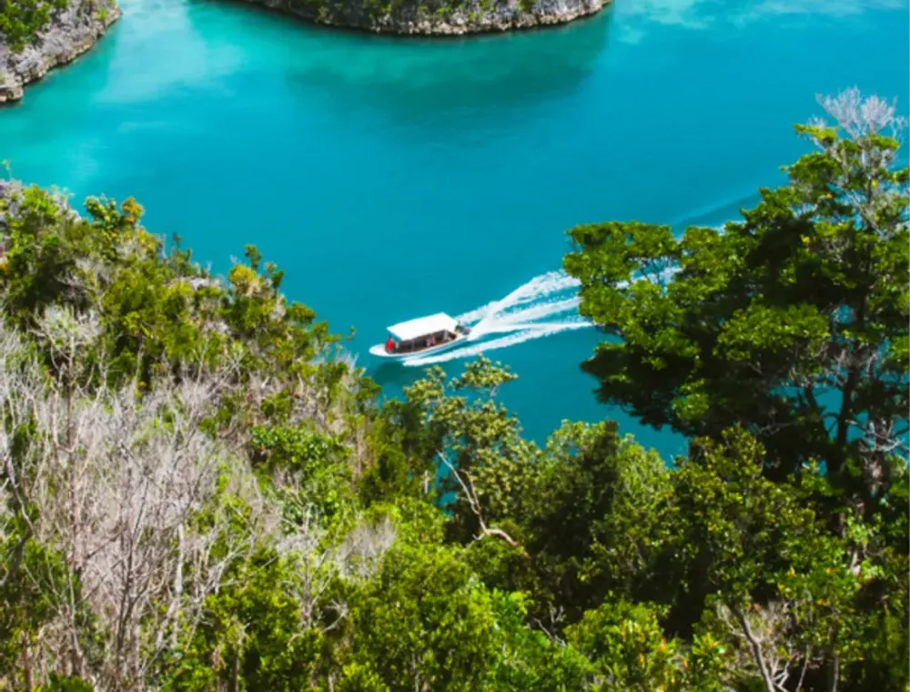 Aerial view of the karst islands and turquoise lagoons of Raja Ampat